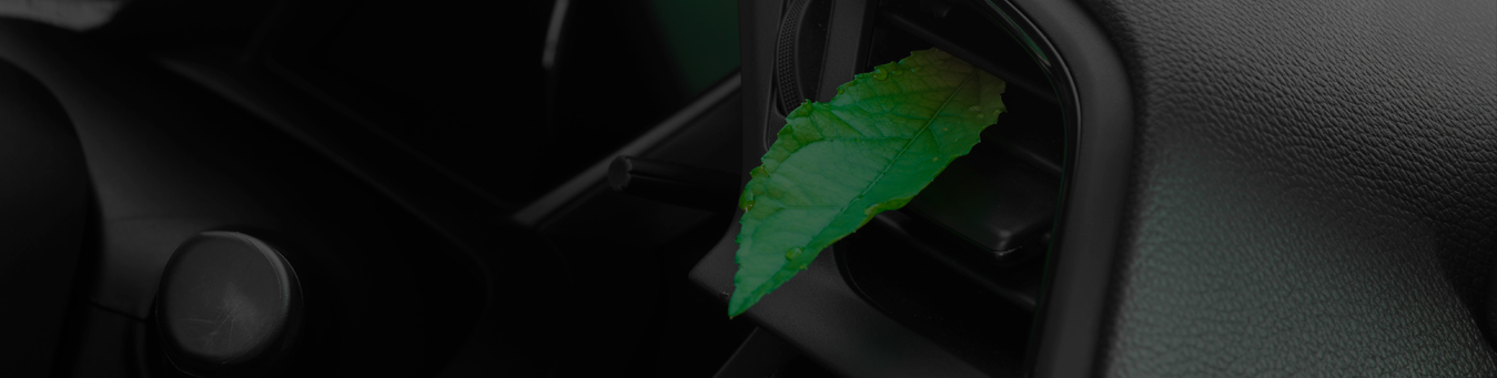 Deshazte de los malos olores en el auto con estos consejos