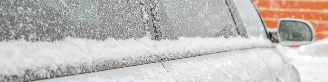 Contratar seguro de granizo