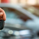 Qué es el cambio de propietario Chihuahua